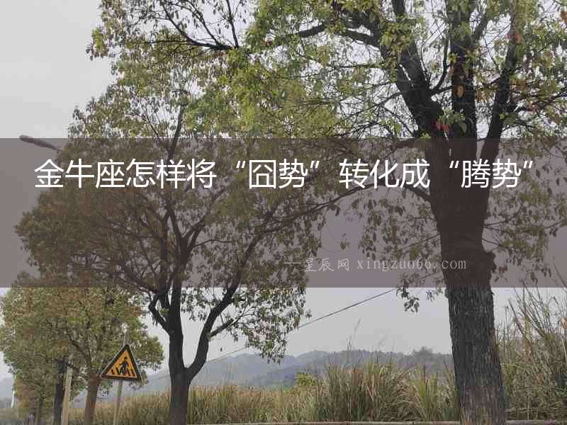 金牛座怎樣將“囧勢”轉(zhuǎn)化成“騰勢”