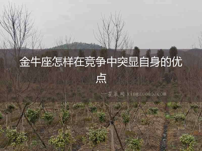 金牛座怎樣在競爭中突顯自身的優(yōu)點