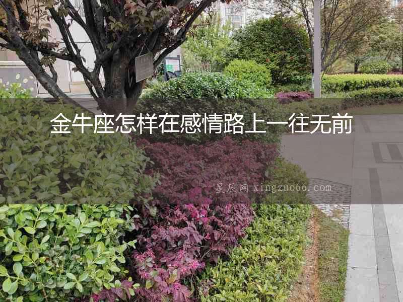 金牛座怎樣在感情路上一往無前