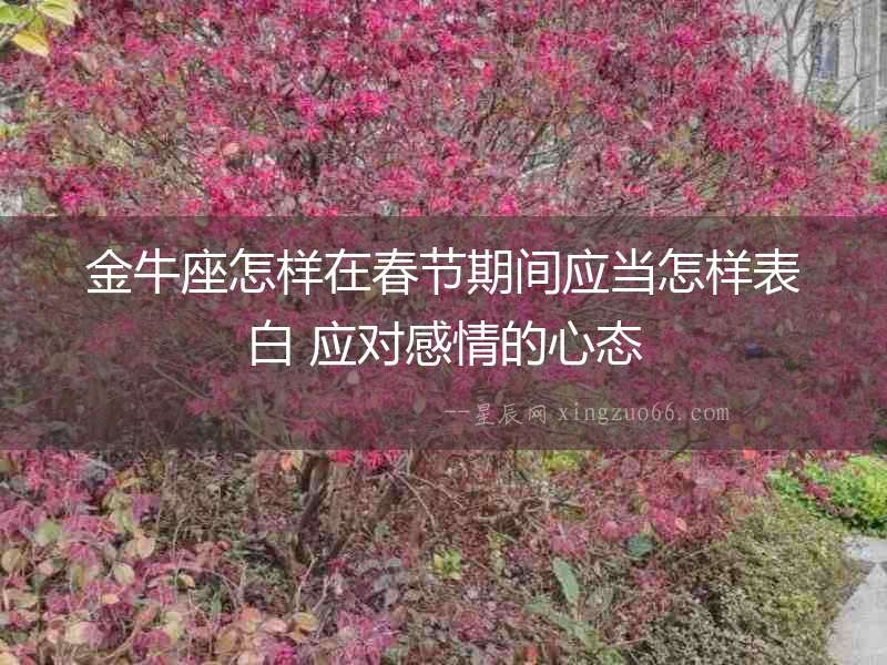 金牛座怎樣在春節期間應當怎樣表白 應對感情的心態