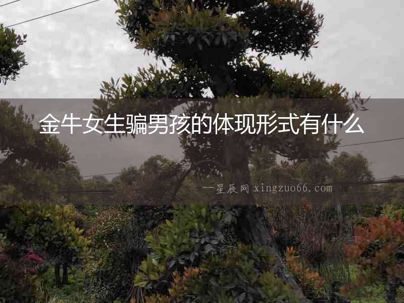 金牛女生騙男孩的體現形式有什么