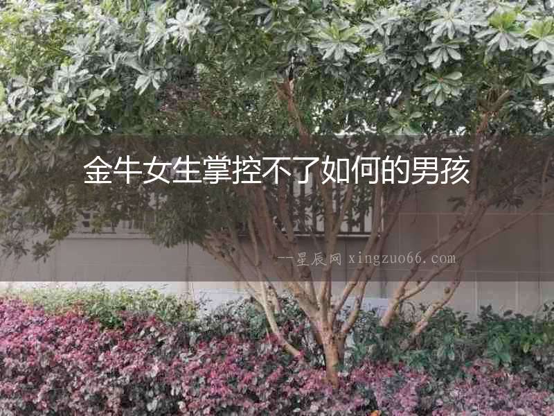 金牛女生掌控不了如何的男孩
