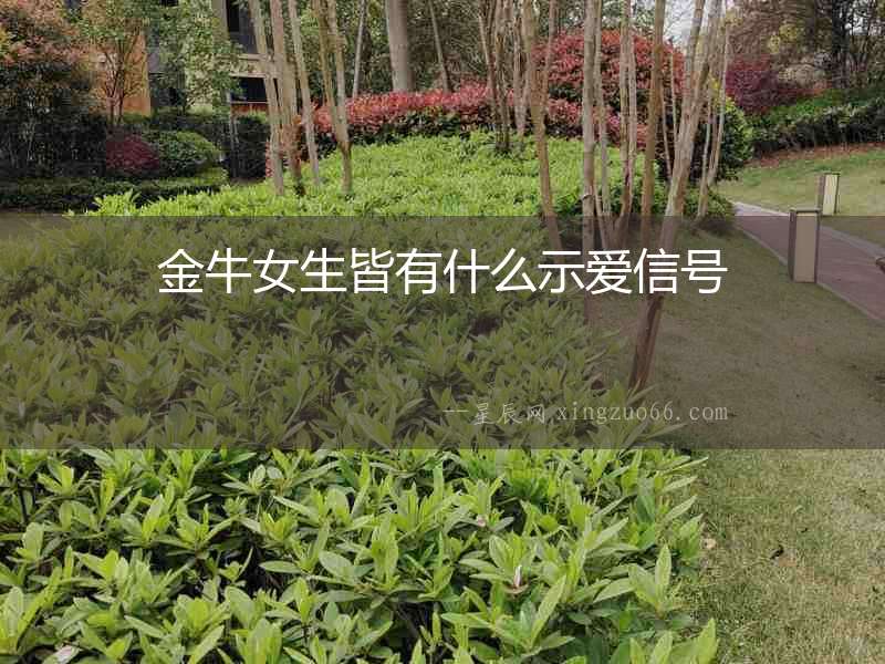金牛女生皆有什么示愛信號