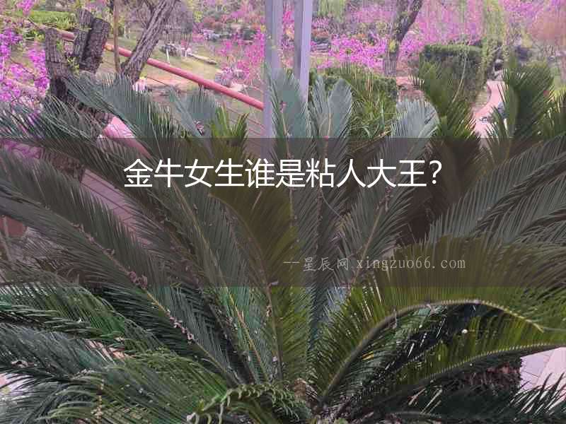金牛女生誰是粘人大王？