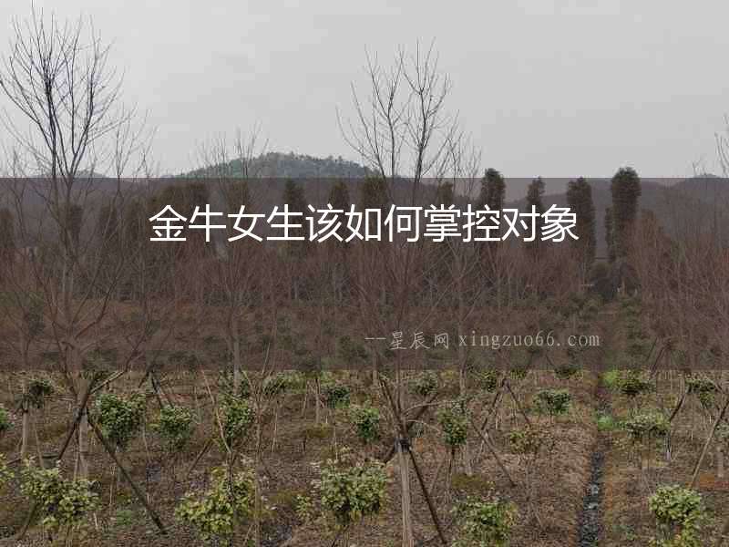 金牛女生該如何掌控對象