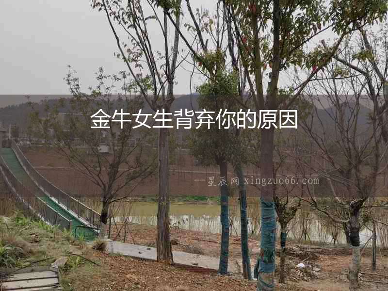 金牛女生背棄你的原因