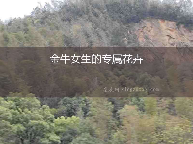 金牛女生的專屬花卉