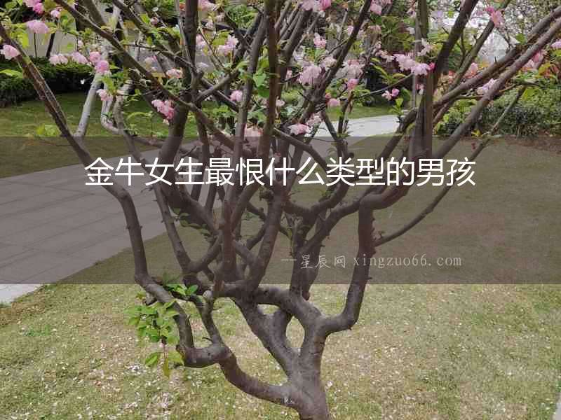金牛女生最恨什么類型的男孩