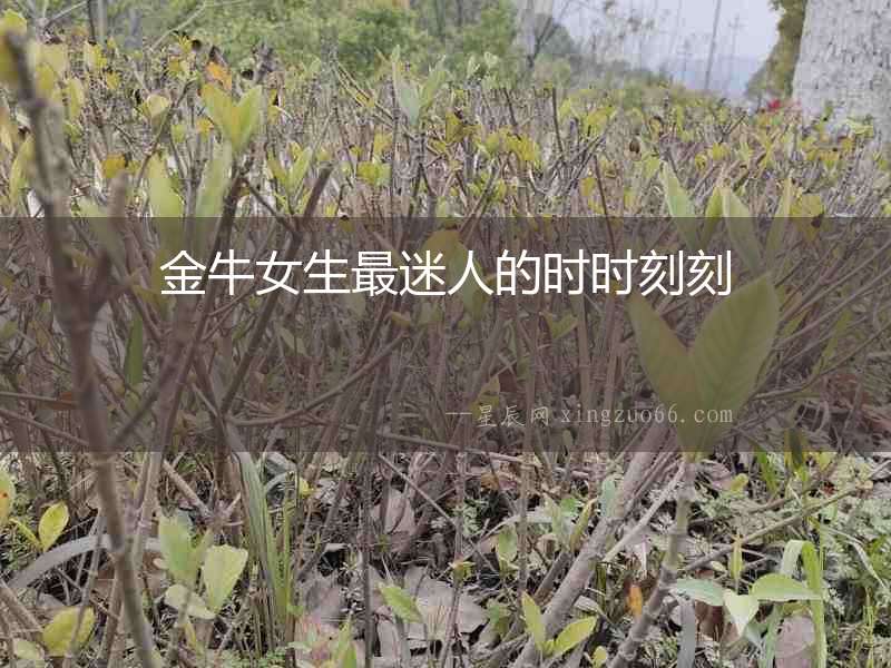 金牛女生最迷人的時時刻刻