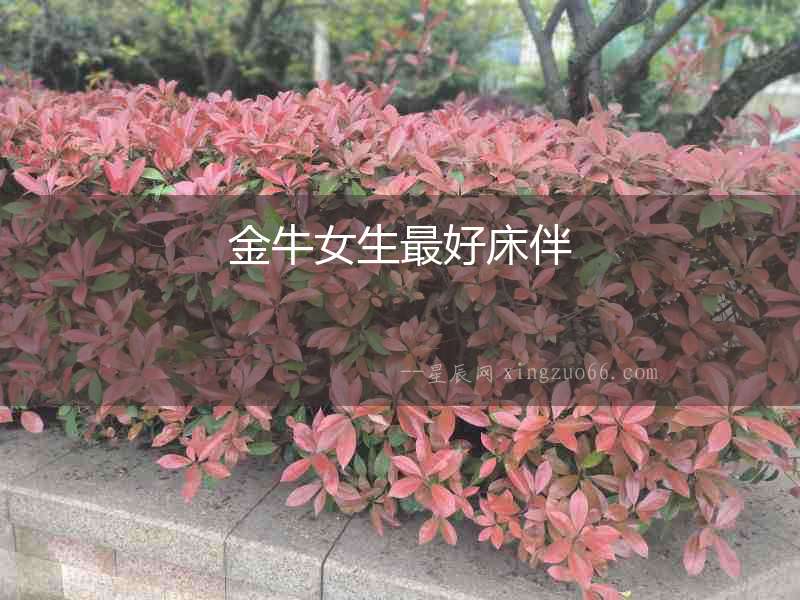 金牛女生最好床伴