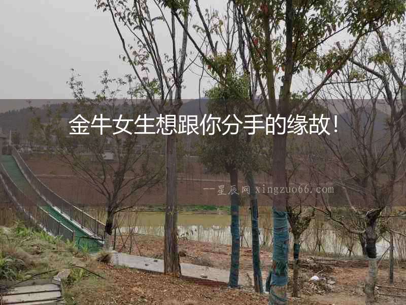 金牛女生想跟你分手的緣故！