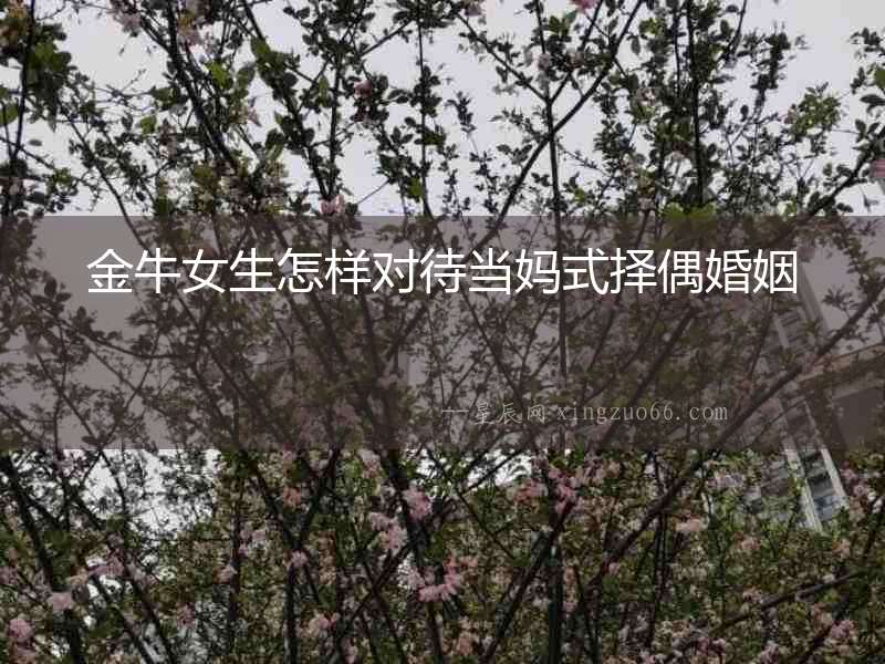 金牛女生怎樣對待當媽式擇偶婚姻
