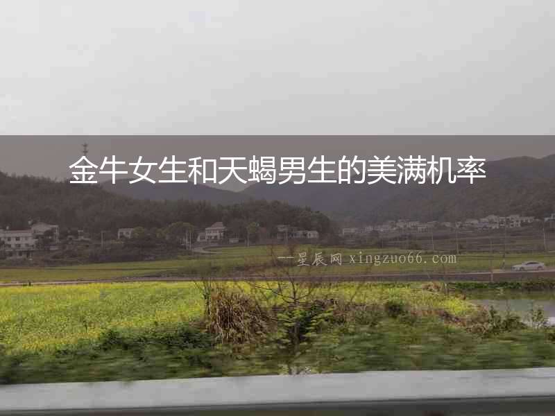 金牛女生和天蝎男生的美滿機率