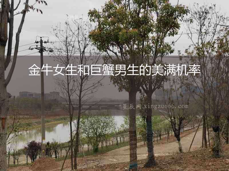 金牛女生和巨蟹男生的美滿機率