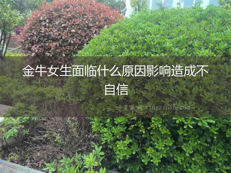 金牛女生面臨什么原因影響造成不自信