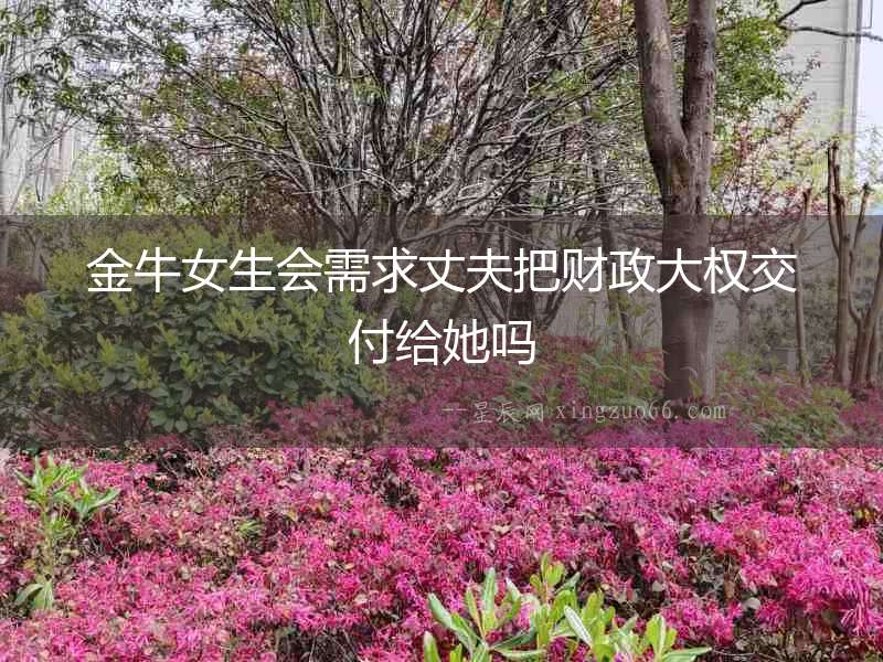 金牛女生會需求丈夫把財政大權交付給她嗎