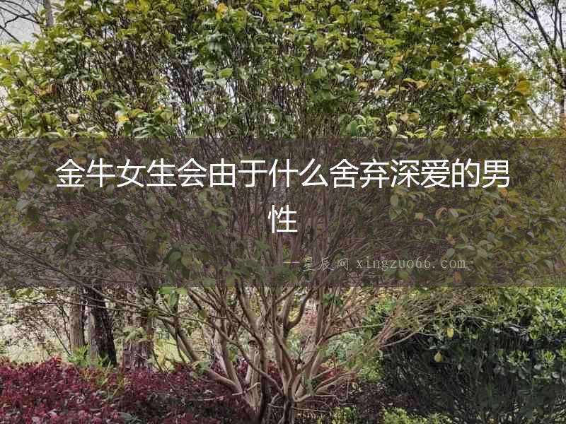 金牛女生會由于什么舍棄深愛的男性