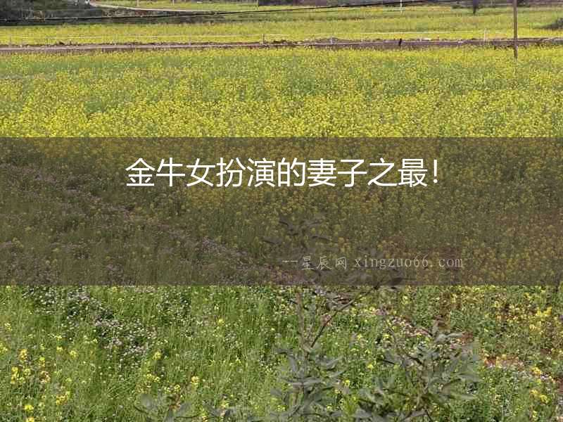 金牛女扮演的妻子之最！