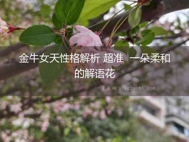 金牛女天性格解析 超準(zhǔn)  一朵柔和的解語(yǔ)花