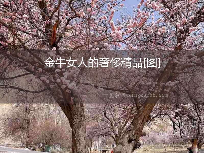 金牛女人的奢侈精品[圖]