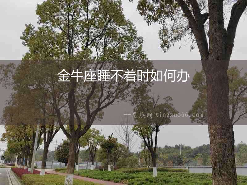 金牛座睡不著時如何辦