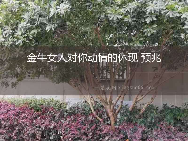 金牛女人對你動情的體現 預兆