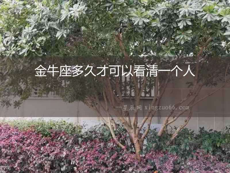 金牛座多久才可以看清一個人