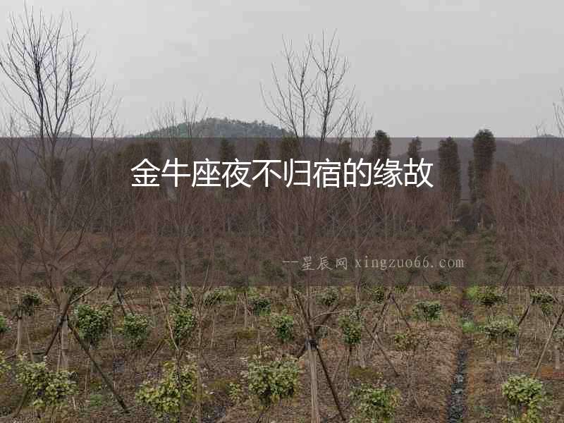 金牛座夜不歸宿的緣故