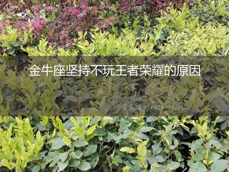 金牛座堅持不玩王者榮耀的原因