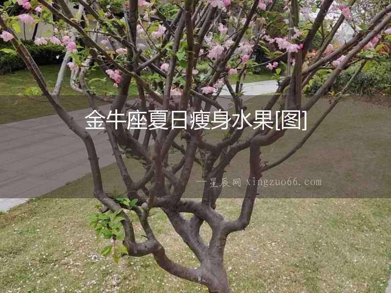 金牛座夏日瘦身水果[圖]