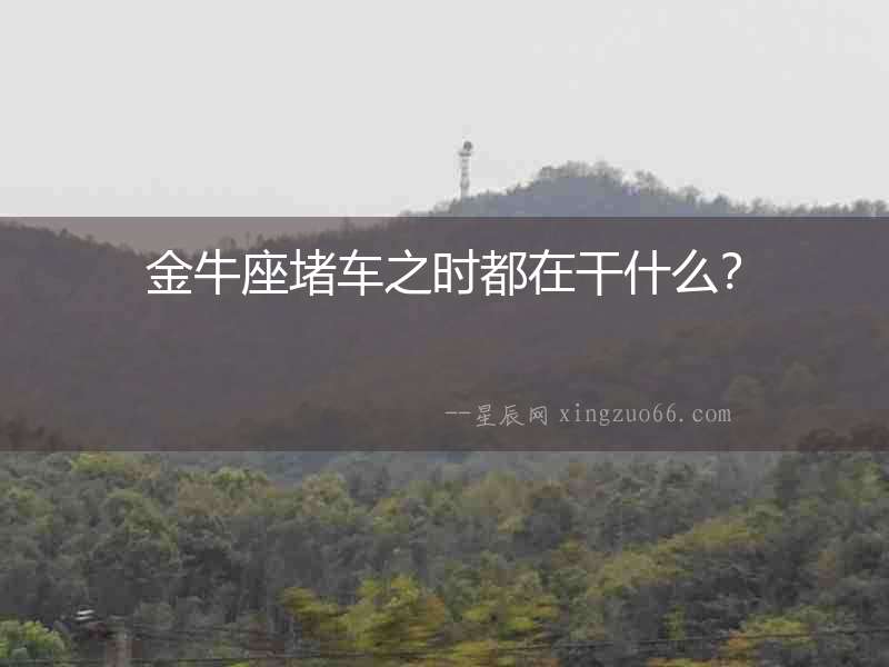 金牛座堵車之時都在干什么？