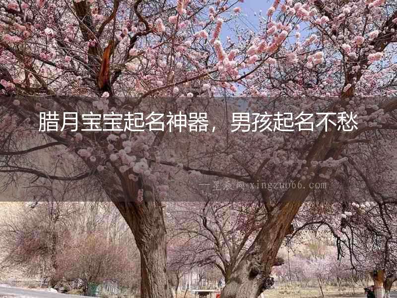 臘月寶寶起名神器，男孩起名不愁