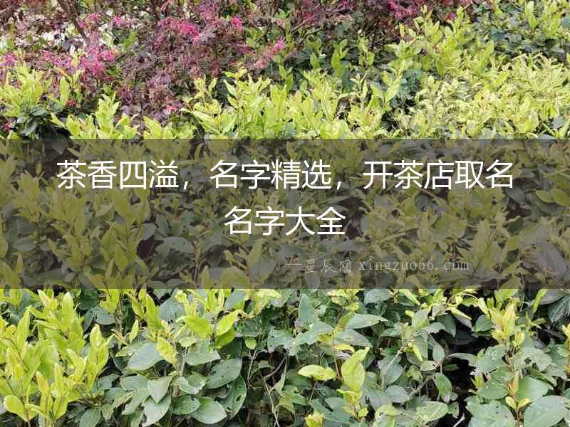 茶香四溢，名字精選，開茶店取名名字大全