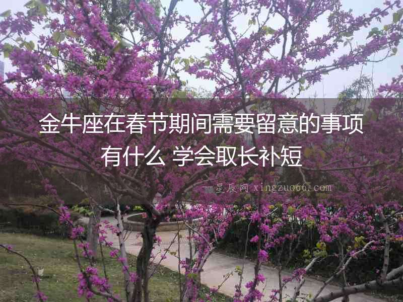 金牛座在春節(jié)期間需要留意的事項有什么 學會取長補短