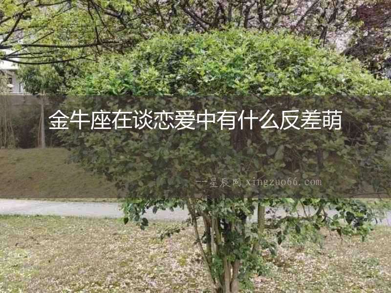 金牛座在談戀愛中有什么反差萌