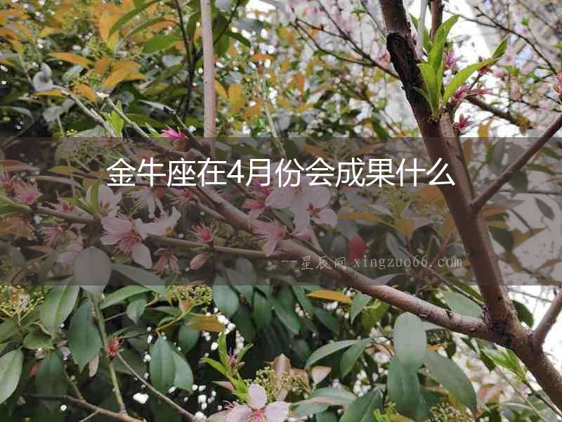 金牛座在4月份會成果什么