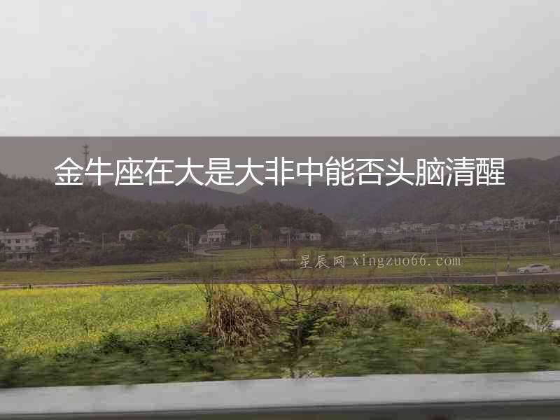 金牛座在大是大非中能否頭腦清醒