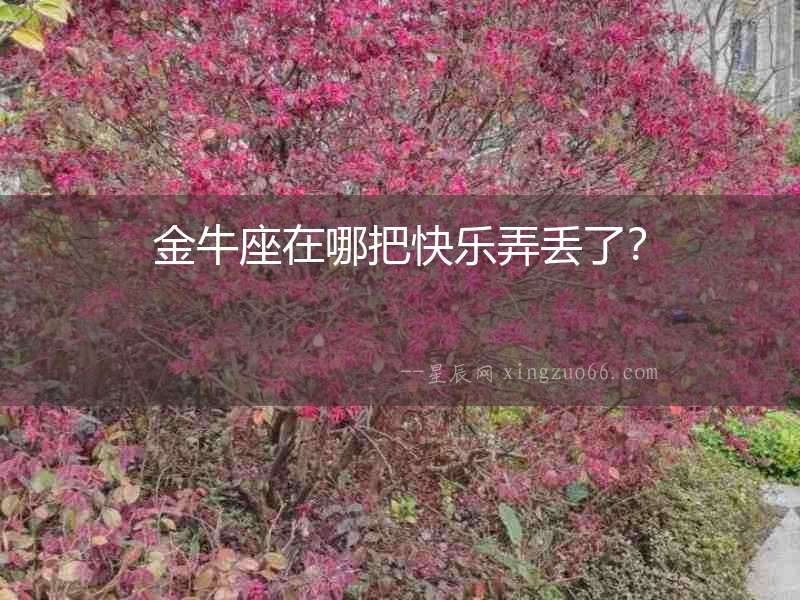 金牛座在哪把快樂(lè)弄丟了？
