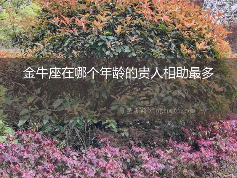 金牛座在哪個年齡的貴人相助最多