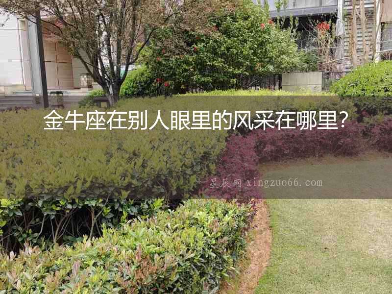 金牛座在別人眼里的風(fēng)采在哪里？