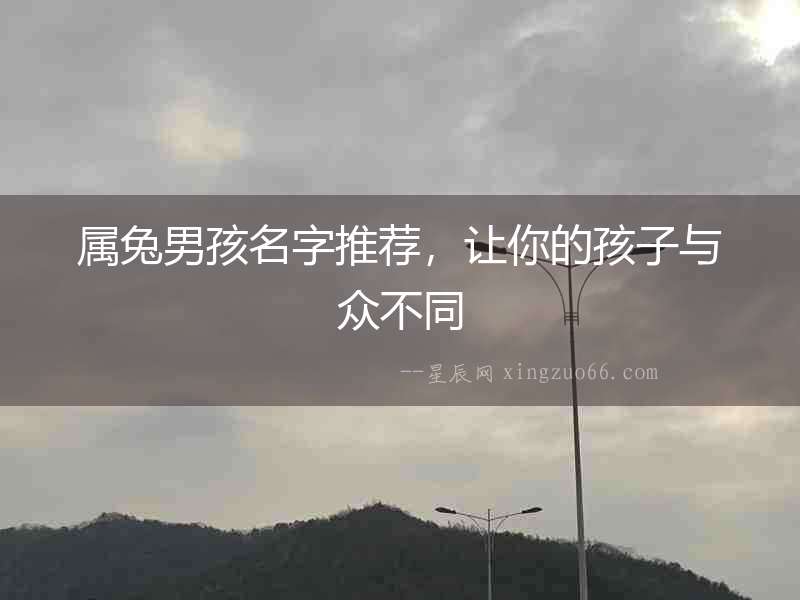 屬兔男孩名字推薦，讓你的孩子與眾不同