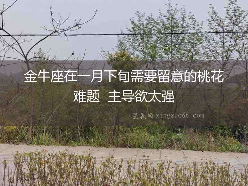 金牛座在一月下旬需要留意的桃花難題  主導欲太強