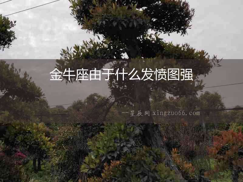 金牛座由于什么發憤圖強