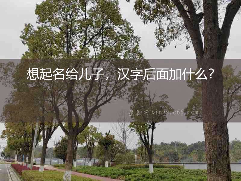 想起名給兒子，漢字后面加什么？