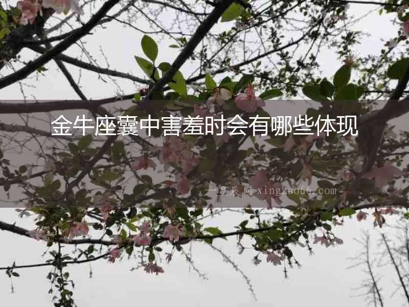 金牛座囊中害羞時會有哪些體現