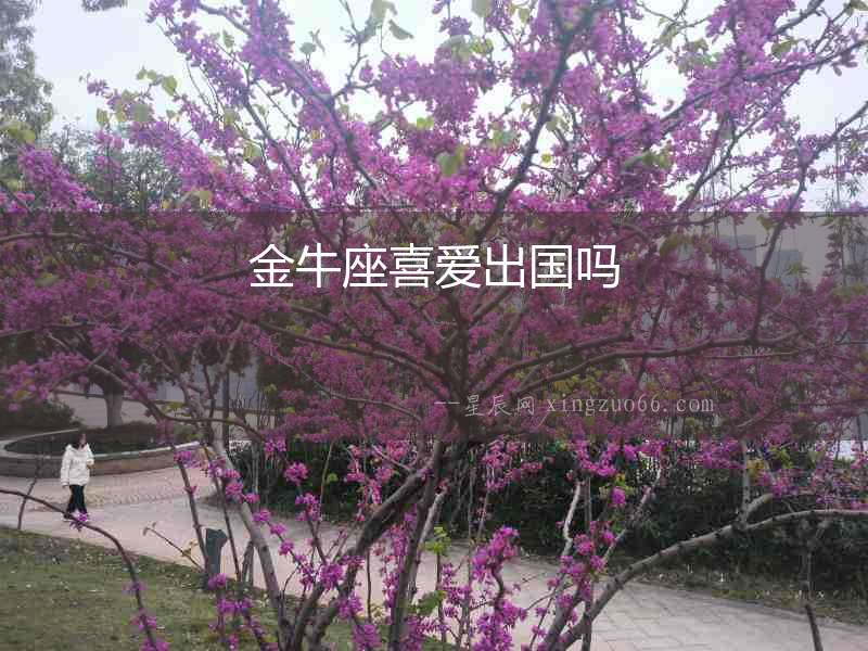 金牛座喜愛出國嗎