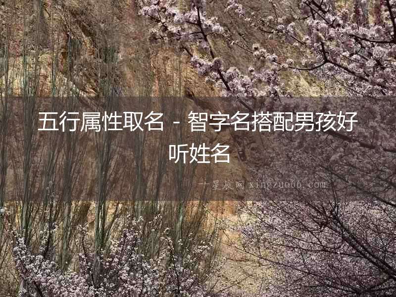 五行屬性取名 - 智字名搭配男孩好聽姓名