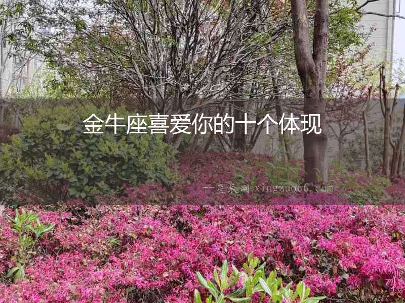 金牛座喜愛你的十個(gè)體現(xiàn)