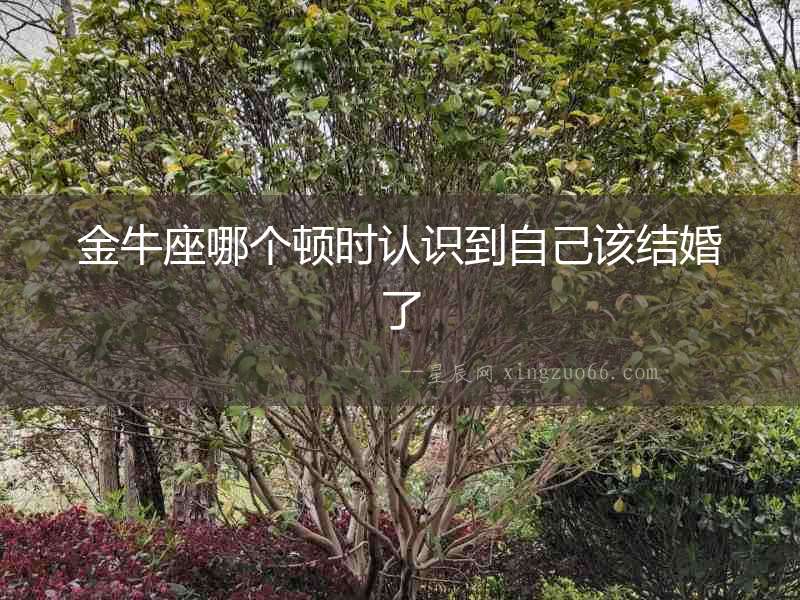 金牛座哪個頓時認識到自己該結婚了