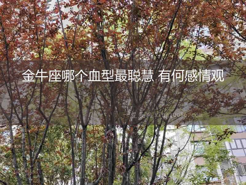 金牛座哪個血型最聰慧 有何感情觀